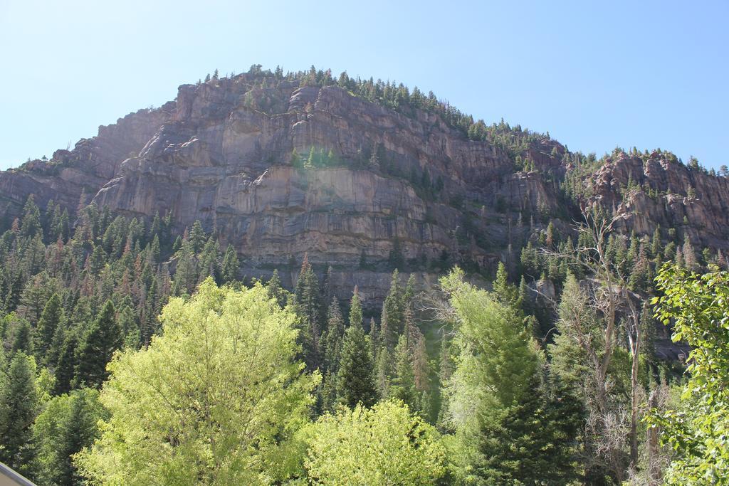 Black Bear Manor Ouray Kültér fotó